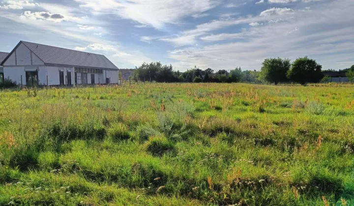 Działka rolno-budowlana Nowe Żabno, Makowa