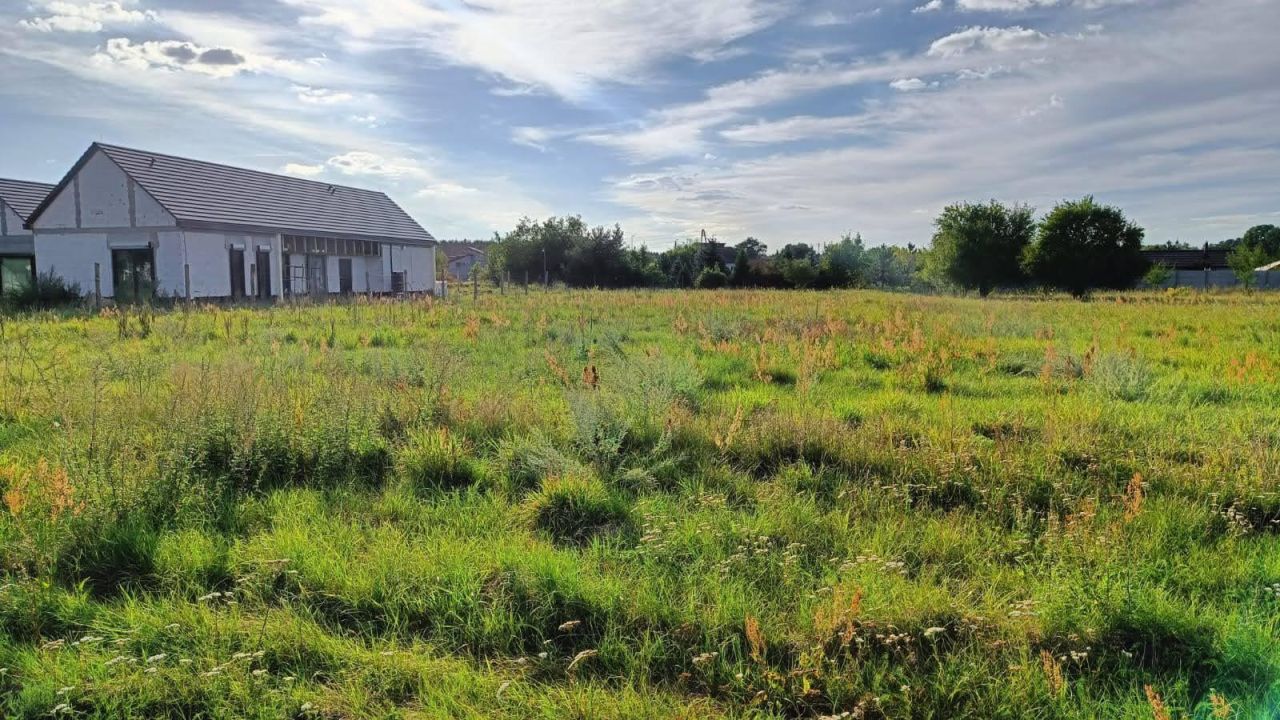 Działka rolno-budowlana Nowe Żabno, Makowa. Zdjęcie 1