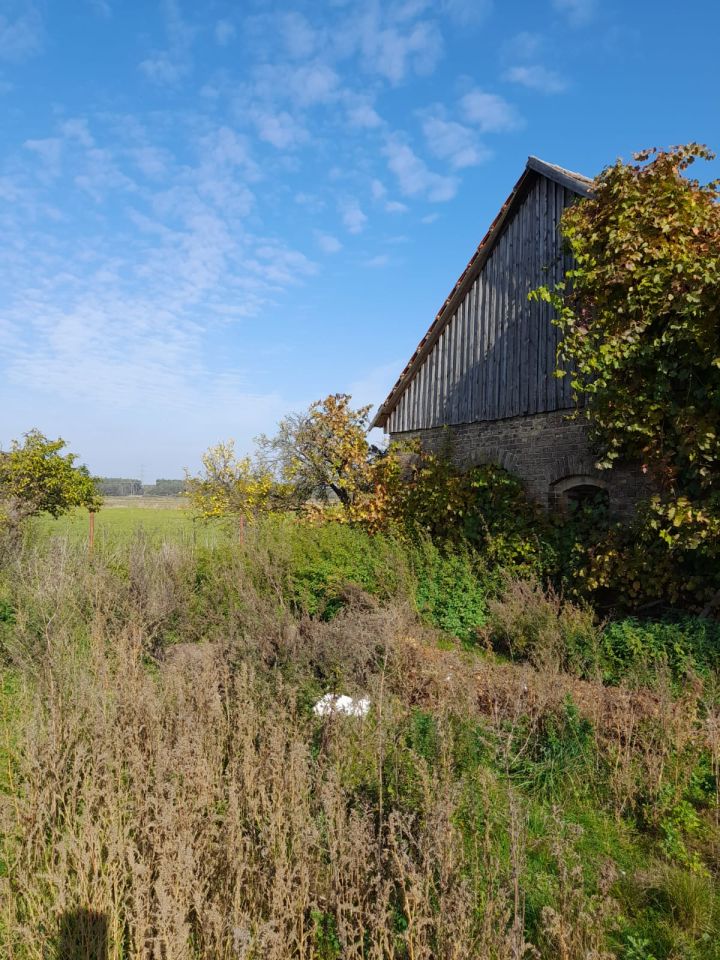 Działka rolna Ściechów. Zdjęcie 9