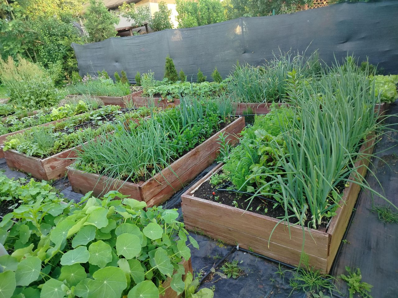 Działka rod Zawiercie Centrum. Zdjęcie 4