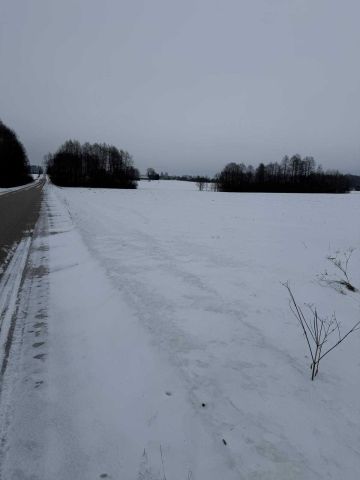 Działka rolna Brzozowo-Kolonia. Zdjęcie 1