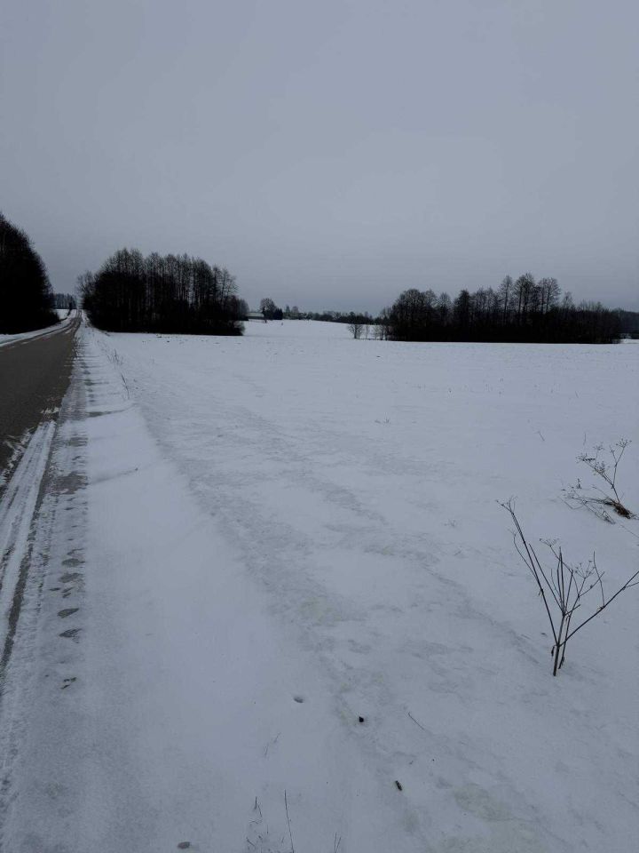 Działka rolna Brzozowo-Kolonia. Zdjęcie 1