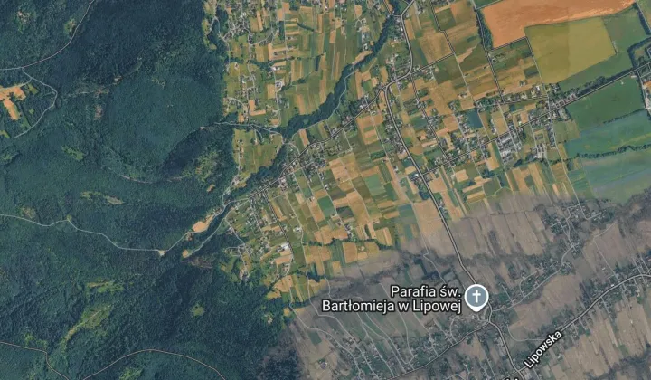 Działka budowlana Lipowa Podlas, ul. Borowikowa