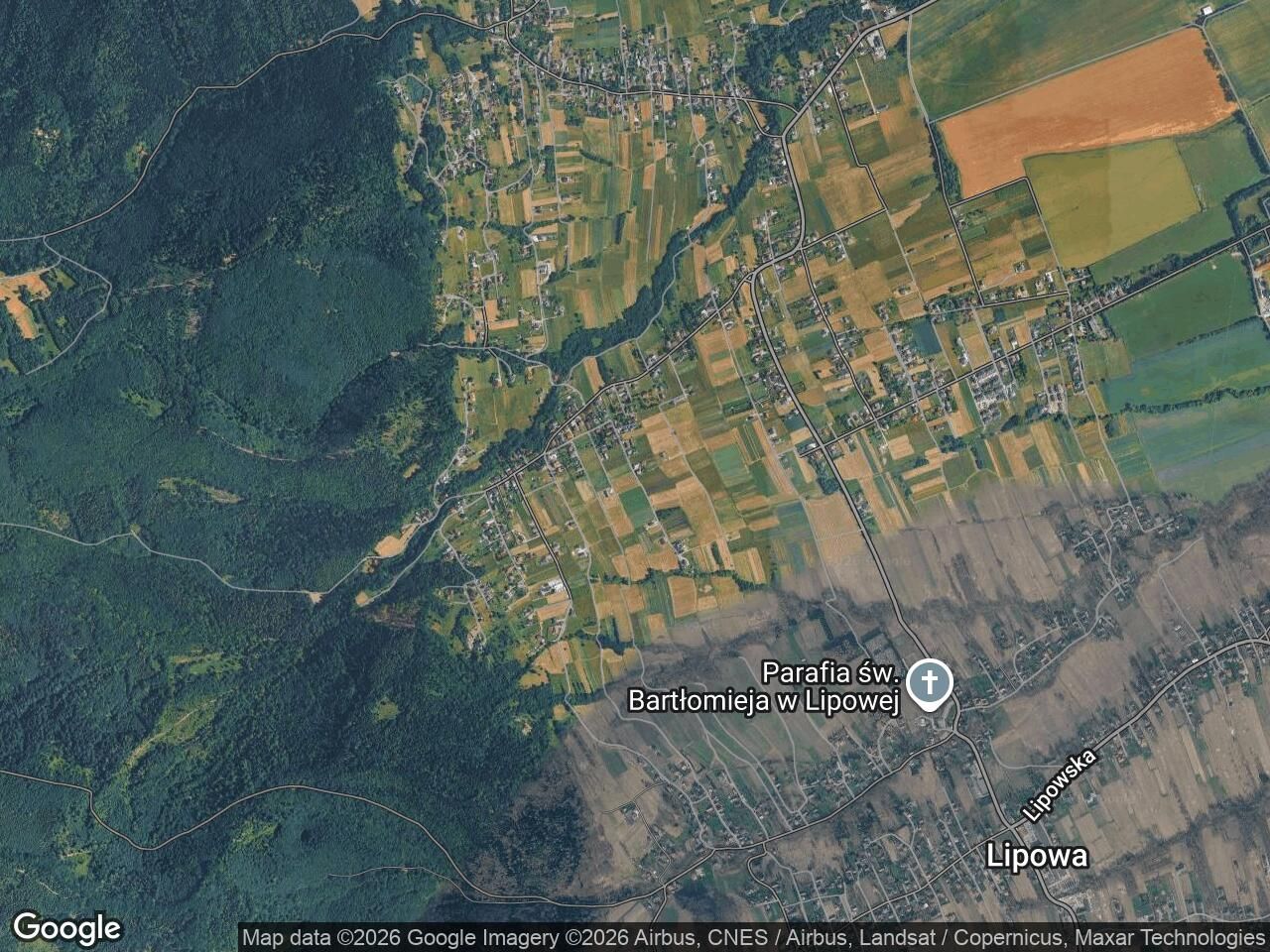 Działka budowlana Lipowa Podlas, ul. Borowikowa. Zdjęcie 1