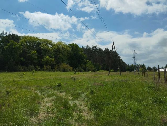 Działka budowlana Drzecin. Zdjęcie 1
