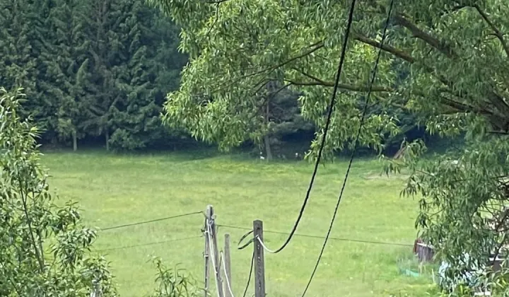 Działka Muszynka
