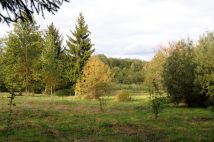Działka siedliskowa Grzegorzewice, ul. Pałacowa. Zdjęcie 2