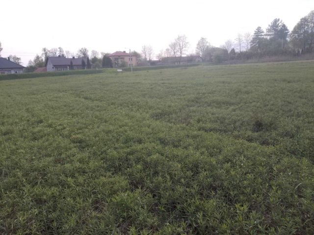 Działka budowlana Kłoda. Zdjęcie 1