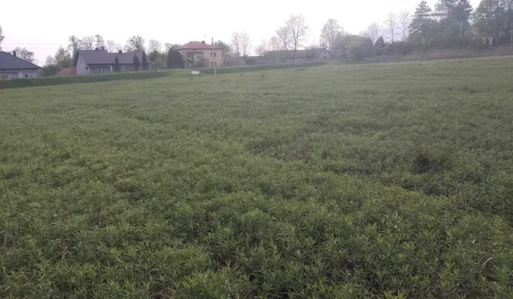 Działka budowlana Kłoda