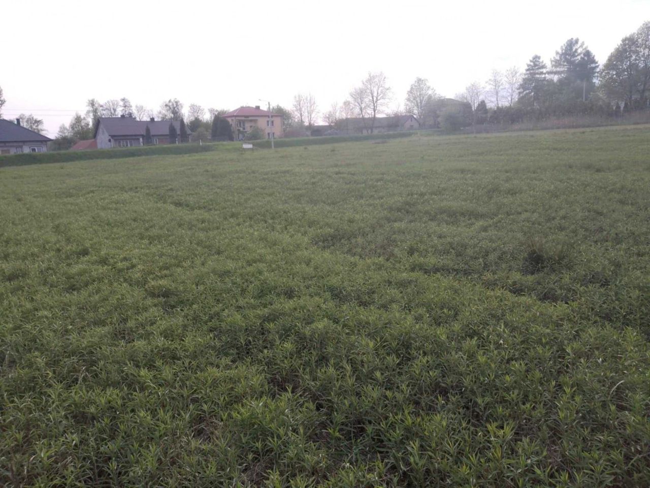 Działka budowlana Kłoda