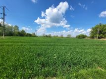 Działka rolna Nowy Stręczyn. Zdjęcie 4