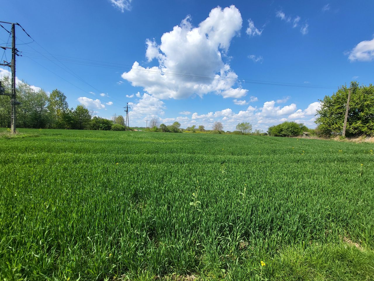 Działka rolna Nowy Stręczyn. Zdjęcie 5