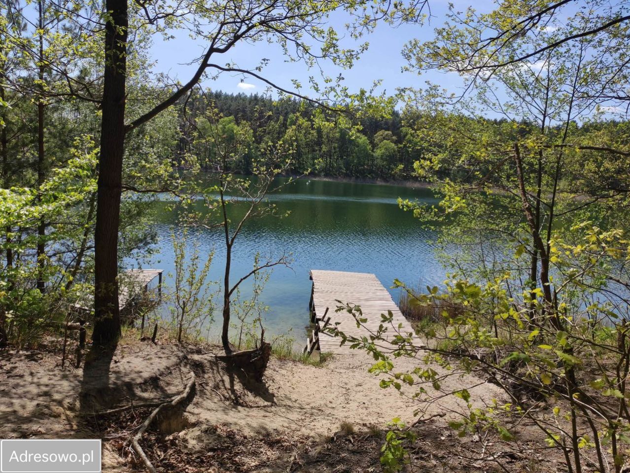 Działka rekreacyjna Borowy Młyn. Zdjęcie 1