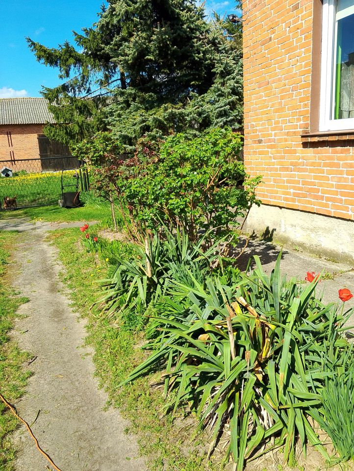 dom wolnostojący, 5 pokoi Brzyków Brzyków-Kolonia. Zdjęcie 6