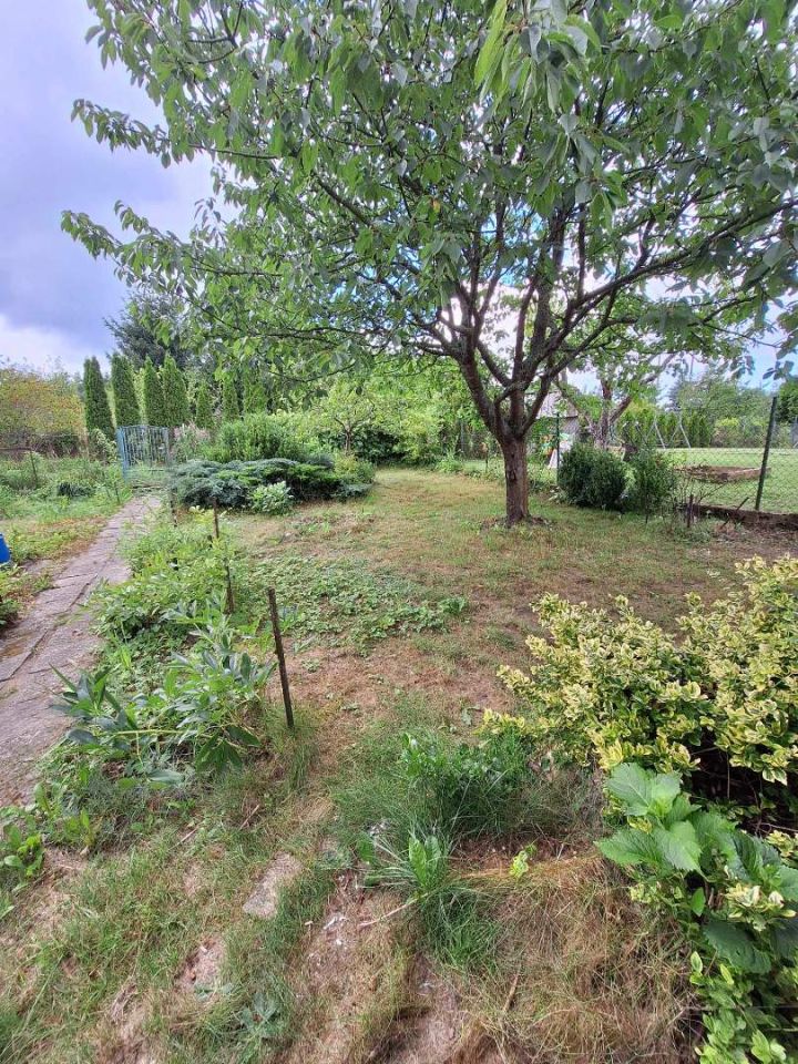 Działka rod Olsztyn. Zdjęcie 4