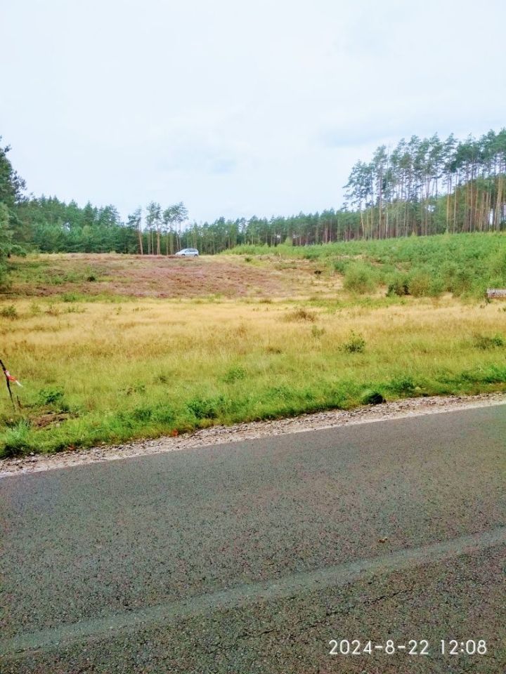 Działka rolno-budowlana Sominy. Zdjęcie 2