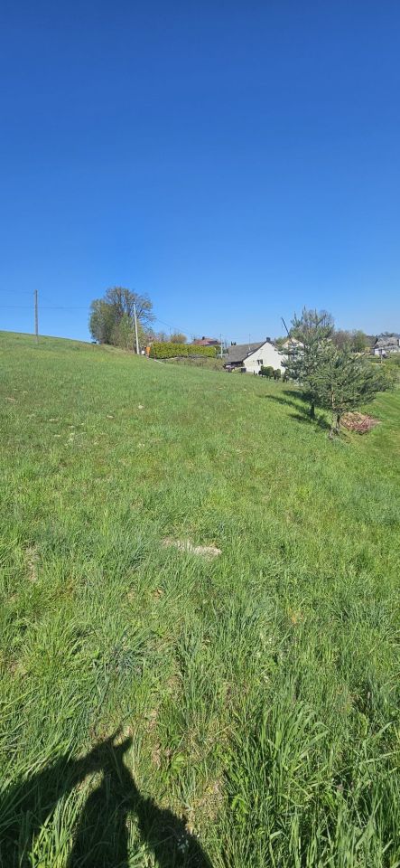 Działka rolna Winiary. Zdjęcie 3