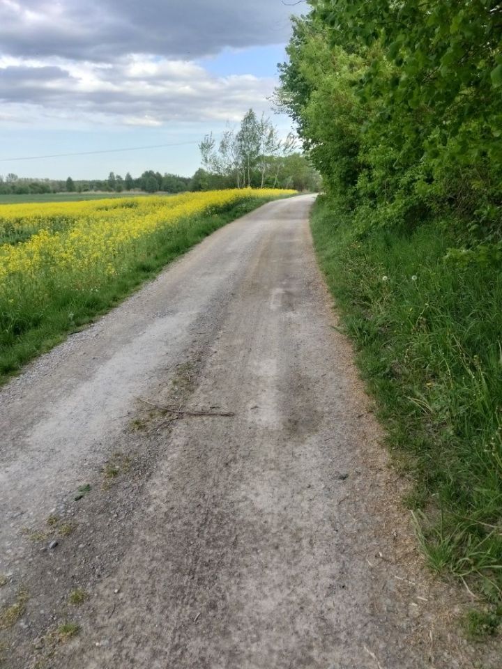 Działka budowlana Partynia. Zdjęcie 3