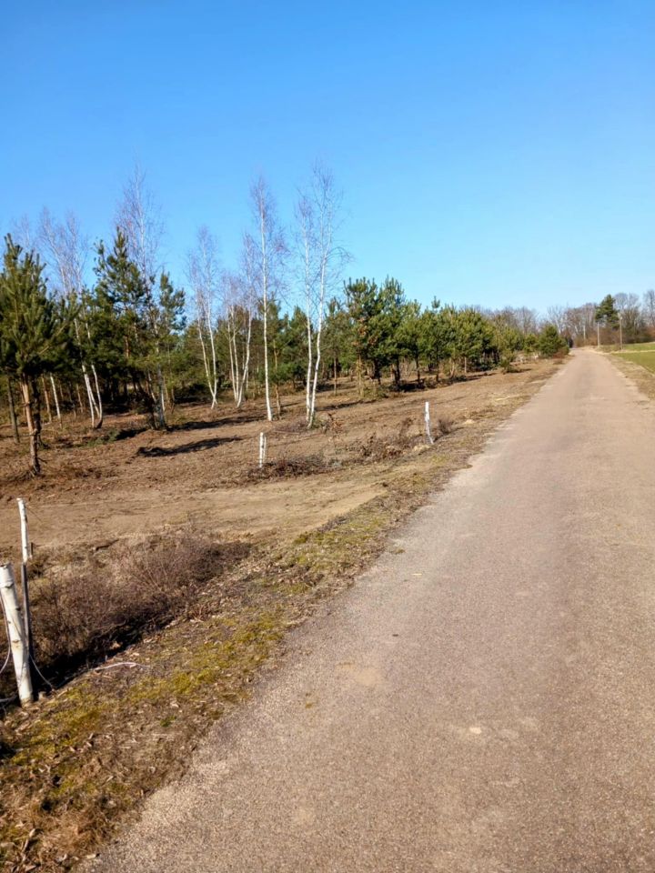 Działka rolno-budowlana Gucin. Zdjęcie 9