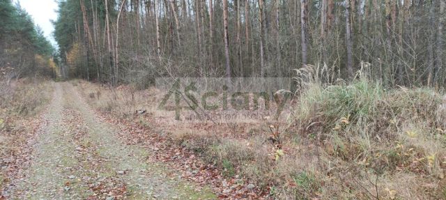 Działka rekreacyjna Wycześniak. Zdjęcie 6