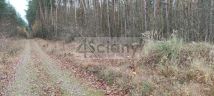 Działka rekreacyjna Wycześniak. Zdjęcie 4