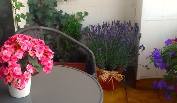 Mieszkanie 4-pokojowe Legnica Tarninów, ul. Franklina Roosevelta