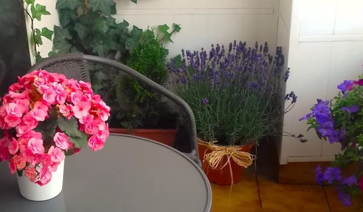 Mieszkanie 4-pokojowe Legnica Tarninów, ul. Franklina Roosevelta