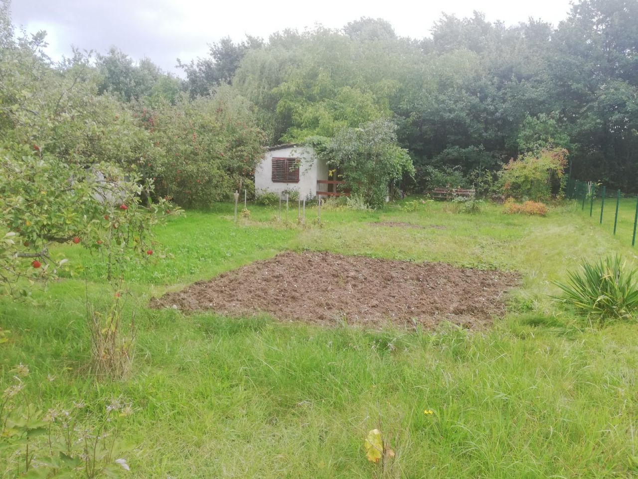 Działka rod Bolesławiec Centrum, ul. Tadeusza Kościuszki. Zdjęcie 2