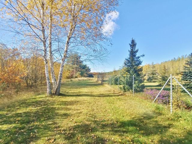 Działka budowlana Pieńki Henrykowskie. Zdjęcie 6