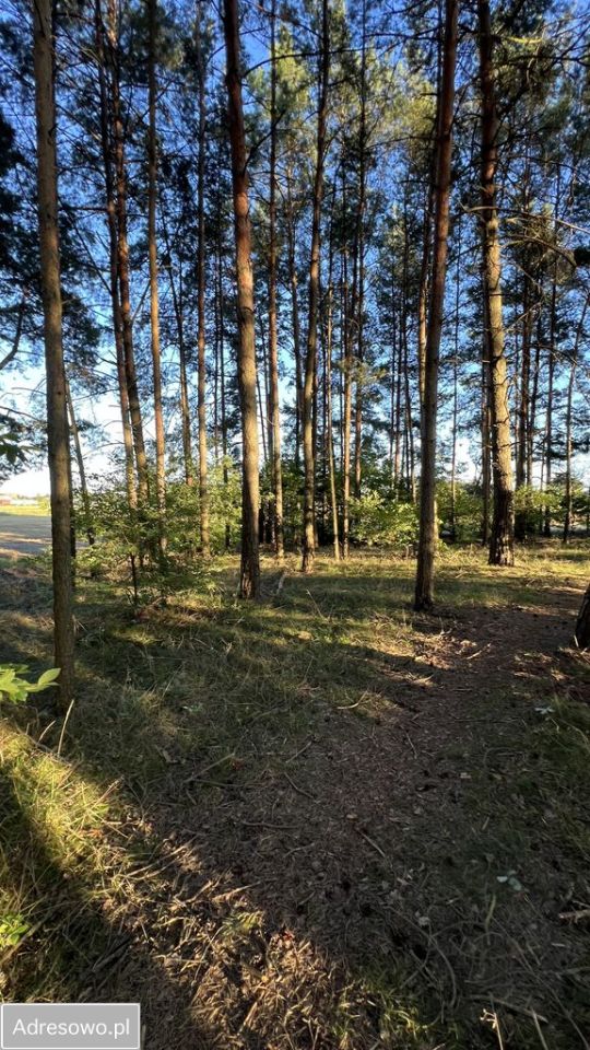 Działka rolno-budowlana Cekcyn Cekcynek. Zdjęcie 10