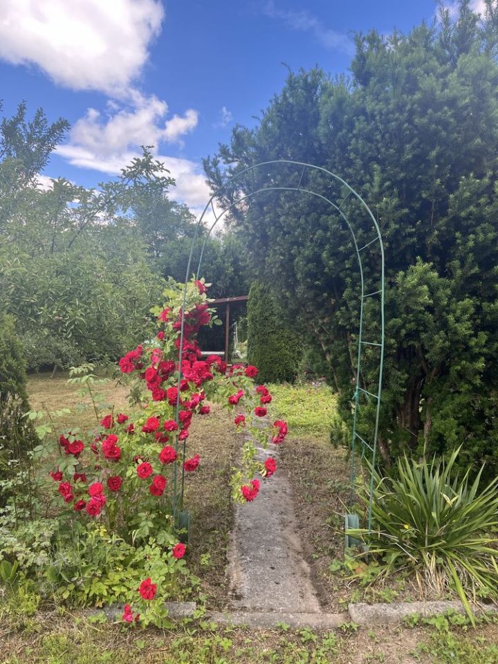 Działka rod Gorlice, ul. Blich. Zdjęcie 3