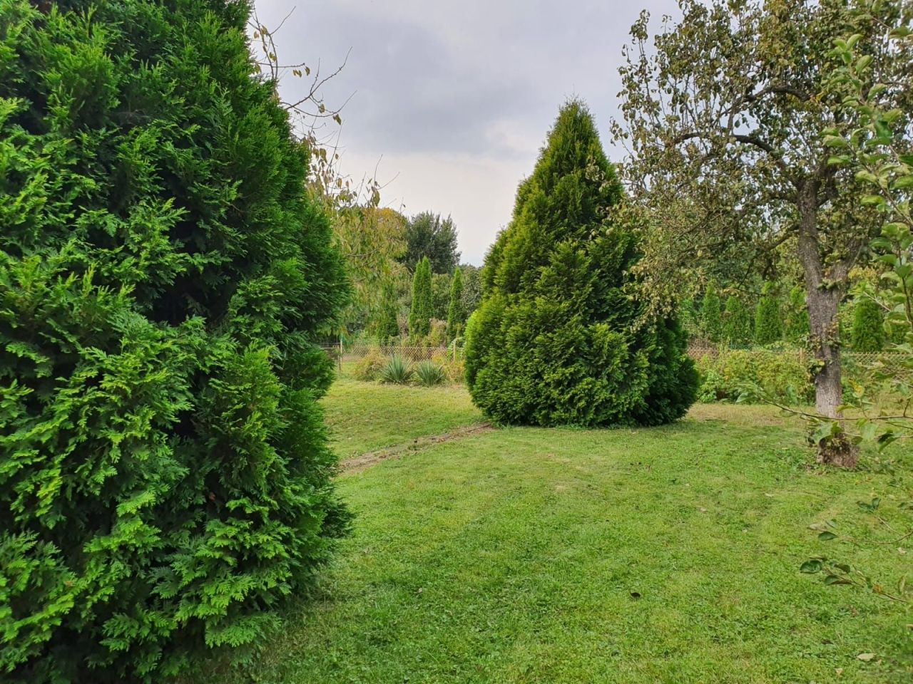 Działka rod Legnica. Zdjęcie 6