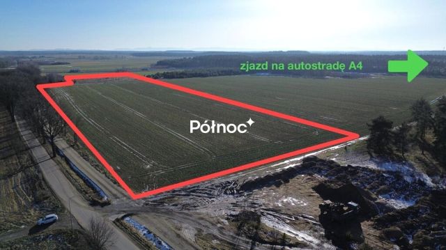 Działka inwestycyjna Dąbrowa Bolesławiecka. Zdjęcie 2