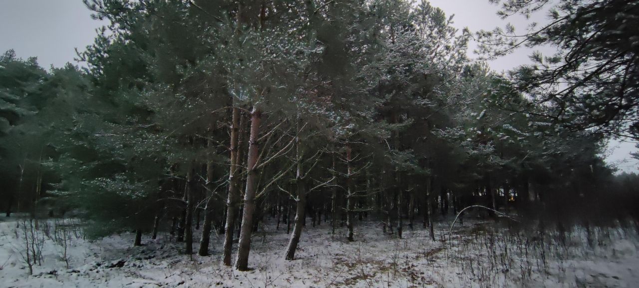 Działka budowlana Wężyk Chawłowo, Wężyk