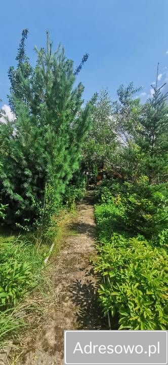 Działka rod Koszalin. Zdjęcie 7