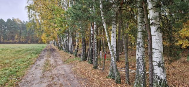 Działka budowlana Budy-Grzybek. Zdjęcie 2