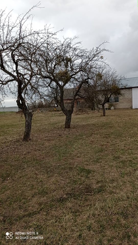 Hala/magazyn Wielka Wieś, ul. Strzelecka. Zdjęcie 12