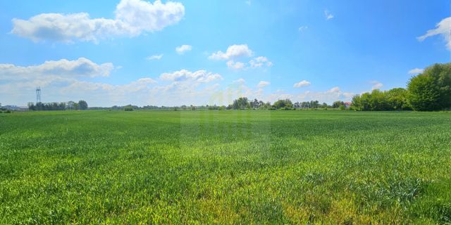 Działka budowlana Bieniewice, ul. Słowicza. Zdjęcie 5