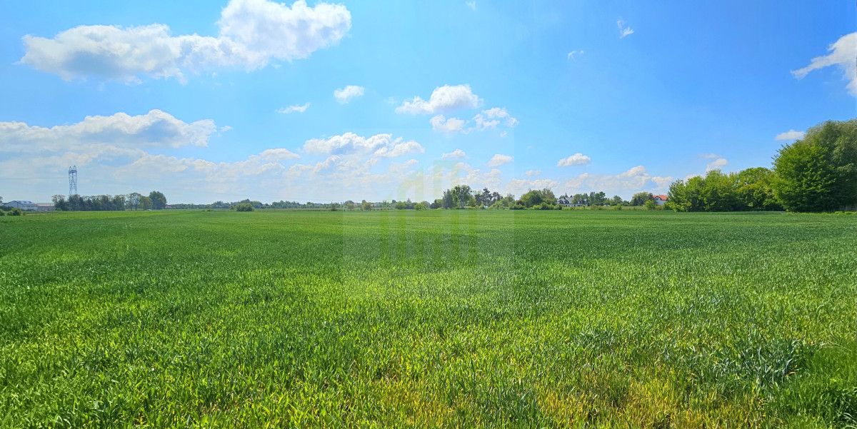 Działka budowlana Bieniewice, ul. Słowicza. Zdjęcie 5