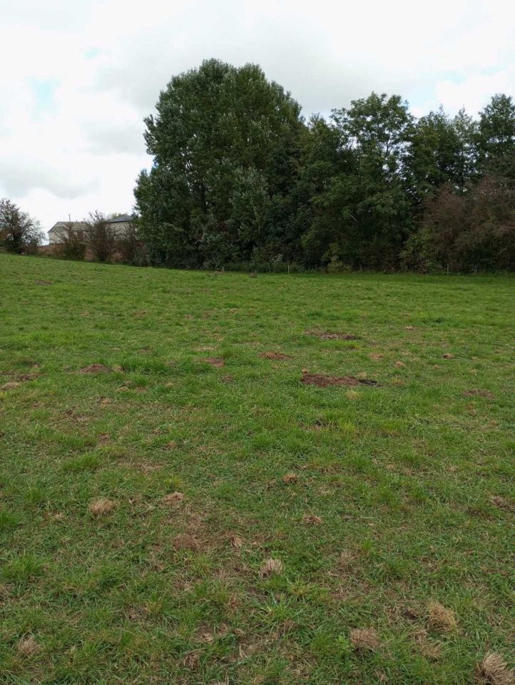 Działka inwestycyjna Długie. Zdjęcie 7