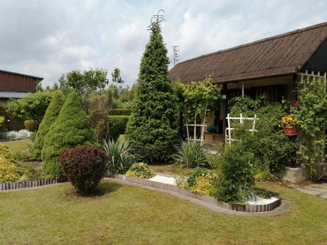 Działka rod Mokra Prawa. Zdjęcie 1