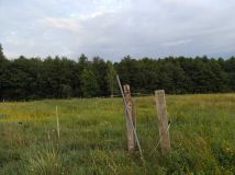 Działka rolno-budowlana Krzywczyce. Zdjęcie 1