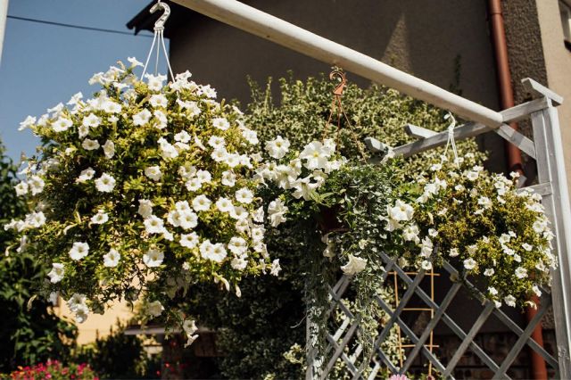 dom wolnostojący, 6 pokoi Chełm. Zdjęcie 1