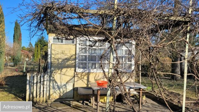 Działka rod Poznań Nowe Miasto, ul. Krańcowa. Zdjęcie 1