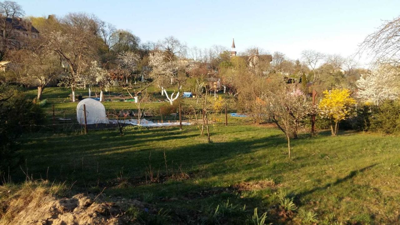 Działka rekreacyjna Zielona Góra. Zdjęcie 1