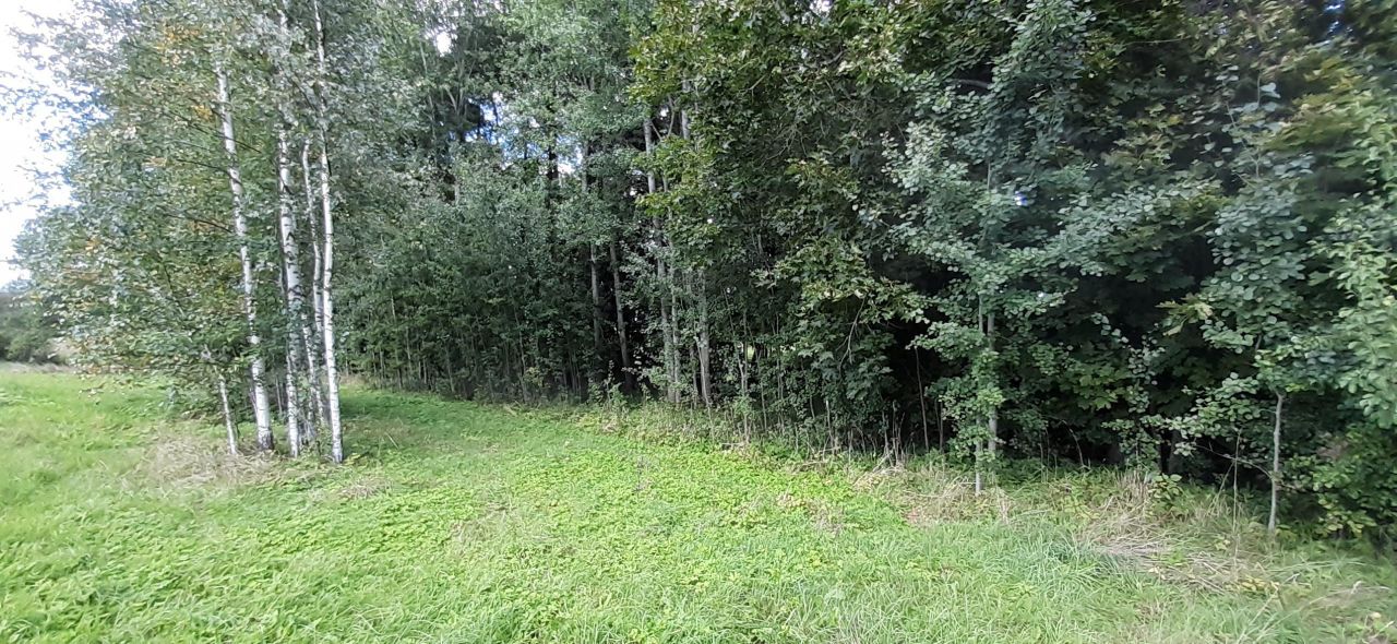 Działka rekreacyjna Boćwinka. Zdjęcie 10