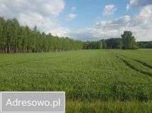 Działka rolna Łukówiec. Zdjęcie 2