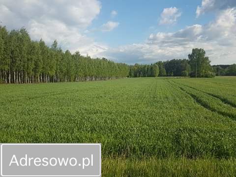 Działka rolna Łukówiec. Zdjęcie 3