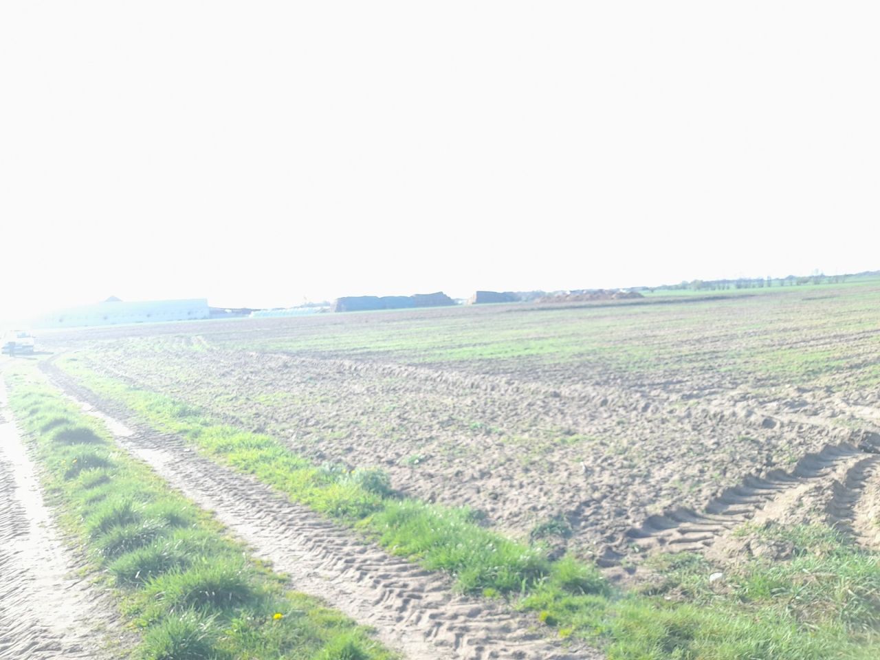 Działka inwestycyjna Krzemieniewo. Zdjęcie 7