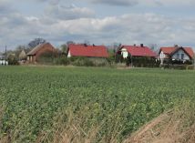 Działka budowlana Nowosiedlice. Zdjęcie 4